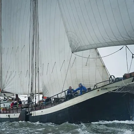 Boutique Style Ship 10 Double